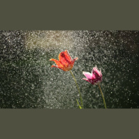 Killing Our Addiction to Human Praise