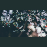 Keep Close to the Heart of Christmas