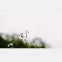 Why Comfortable Christians Go Prayerless