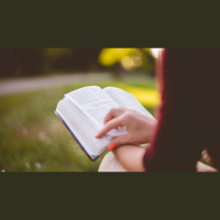 What Does It Feel Like to See the Beauty of Christ?