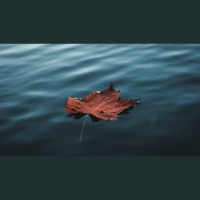 The Dignity of Those with Dementia