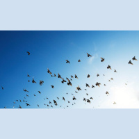 How Do I Pray Without Ceasing?