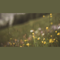 How Does God’s Joy Become My Joy?