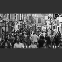 What Causes Gender Dysphoria?