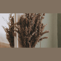 The Disabled Wife and the Proverbs 31 Woman