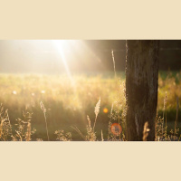 The Single Key to Personal Change