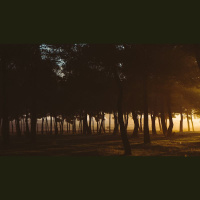 Does Happiness Require Apathy to Others’ Sorrows?