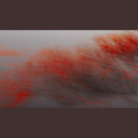 Did God Commission Terrorism in the Bible?