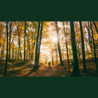 To Live Is Christ — What Does That Mean?