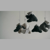 Should We Postpone Children While I Finish My Degree?