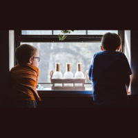 On Sibling Rivalries