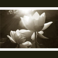 Authenticity - On Being REAL!