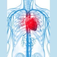 PART TWO CHOLESTEROL MANAGEMENT: Dietary and Supplement Strategies