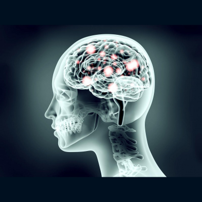 Christine Baileys Posts