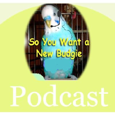 So You Want A New Budgie/parakeet