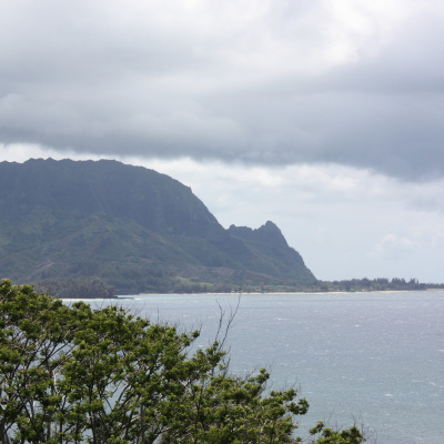 Fr. Jims Weekly Homily