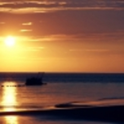 Fr. Jims Weekly Homily