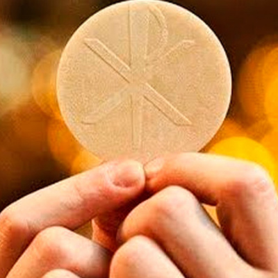 Fr. Jims Weekly Homily