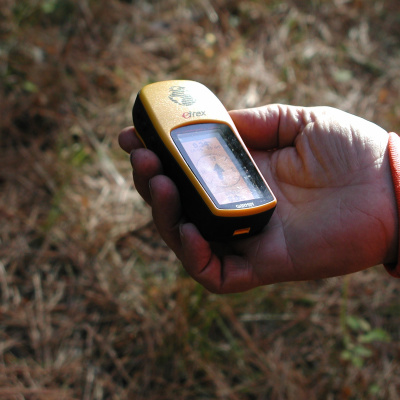 Fr. Jims Weekly Homily