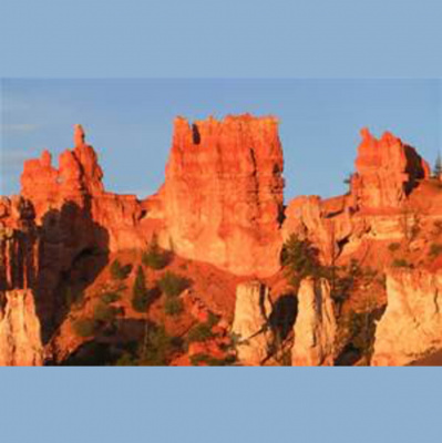 Fr. Jims Weekly Homily