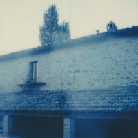 INTEGRATING THE SHADOW: PART 1