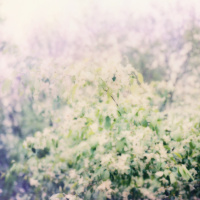 THE NEED TO FIX OTHERS