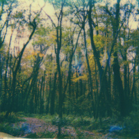 SOME POINTERS ON THE PATH