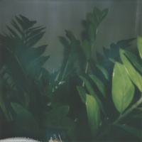 THE PRICE OF KISSING IS YOUR LIFE