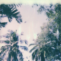 THE IDEALIZED SELF-IMAGE, THE CURSE OF SUCCESS, AND THE GIFT OF SUFFERING