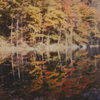 SOME MISCONCEPTIONS OF THE SPIRITUAL PROCESS AND TEACHERS