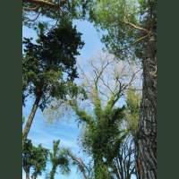 THE TOXICITY OF JUDGMENT