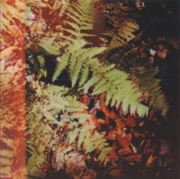 RITUAL, SACRED SPACE, AND SACRED MEDICINES: PART 2