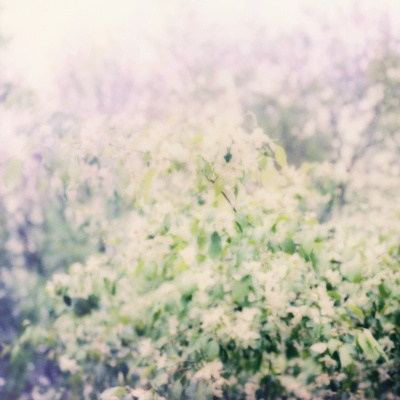 The Abdi Assadi Podcast