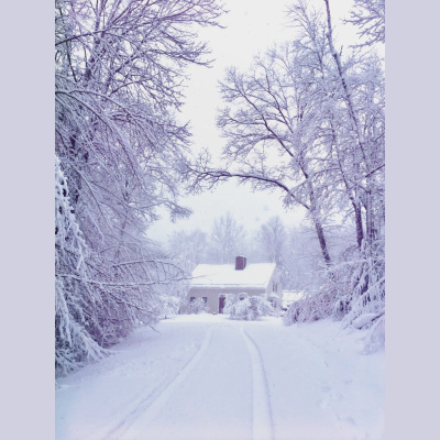 The Abdi Assadi Podcast