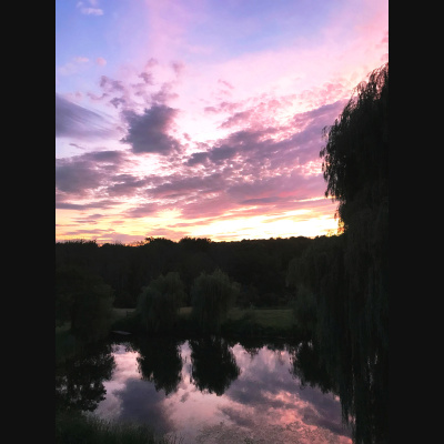 The Abdi Assadi Podcast