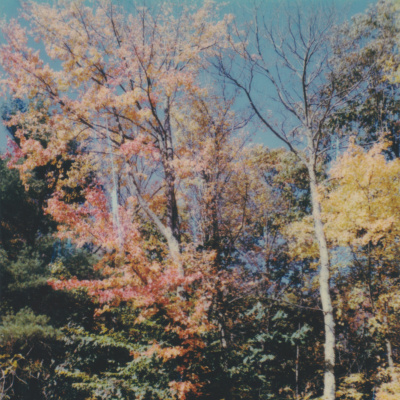 The Abdi Assadi Podcast