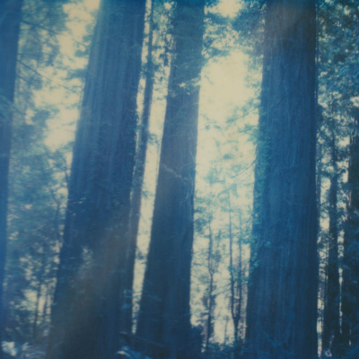 The Abdi Assadi Podcast