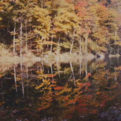 The Abdi Assadi Podcast