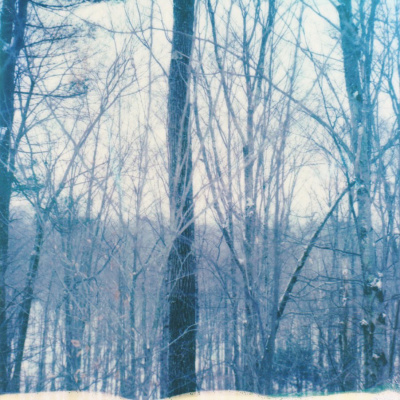 The Abdi Assadi Podcast