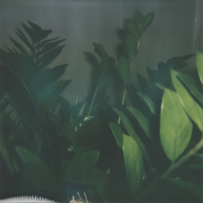 The Abdi Assadi Podcast