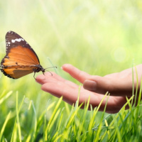 #21 - Geweldloosheid - Ahimsa | Mindful Maandag