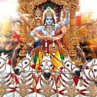 #14 God als jouw Chauffeur | Vragen Vrijdag