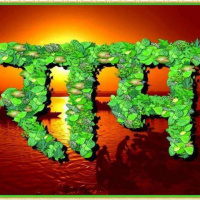 #20 - Is Gods naam groter dan God? | Vragen Vrijdag