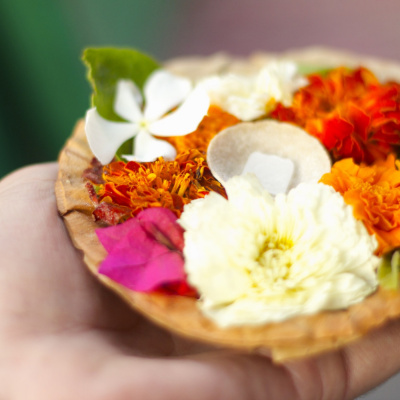 Sanatan Dharm Net Vani