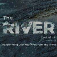 Waist Deep: Church Planting