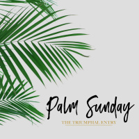 Palm Sunday: Take Another Look