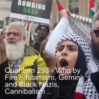 Quantum 293 - Who By Fire? Islamism, Gemini and Black Nazis, Cannibalism and more