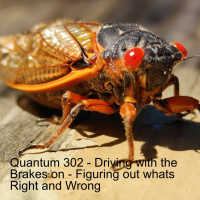 Quantum 302 - Driving with the Brakes On - Figuring out Whats Right and Wrong