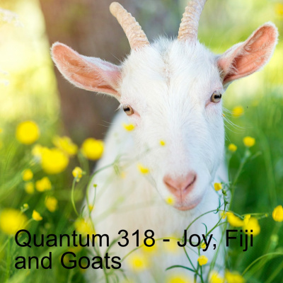 Quantum - The Wee Flea Podcast