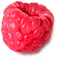 A matter of FACT - Richard Raspberry 